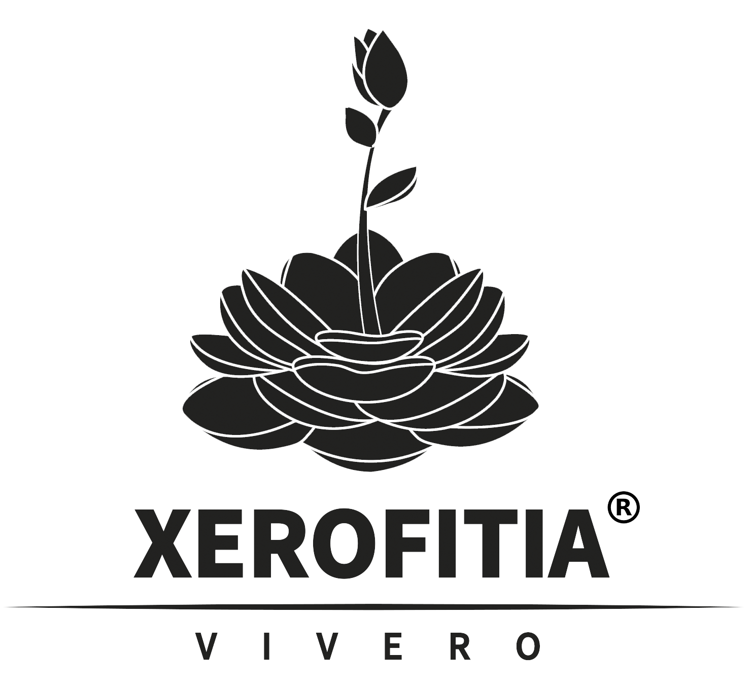 Xerofitia |