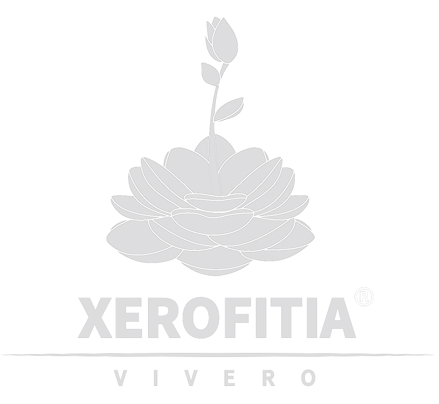 Xerofitia |